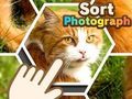 Spel Sorteer foto  aanlyn