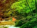 Spel Vreedsame Rainbow Forest Escape  aanlyn