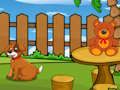 Spel Snaakse Iguana Escape  aanlyn