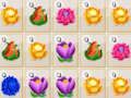 Spel Blommesamesmelting  aanlyn