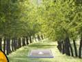 Spel Paar Cat Escape  aanlyn