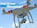 Spel Regte Drone Simulator  aanlyn