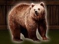 Spel Red Die Grizzly Beer  aanlyn