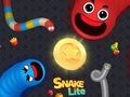 Spel Slang lite wurm aanlyn