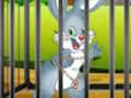 Spel Konyne Wortel Conundrum  aanlyn