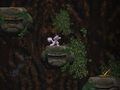 Spel Grot afkoms  aanlyn