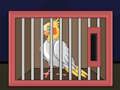 Spel Laat The Cockatiel Bird vry  aanlyn