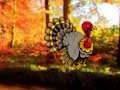 Spel Thanksgiving Dancing Turkey Escape aanlyn