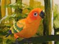 Spel Oulike Budgie legkaart  aanlyn