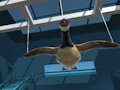 Spel Gans Museum  aanlyn