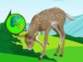 Spel Die Deer Meadow Escape  aanlyn