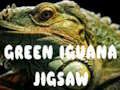 Spel Groen Iguana figuursaag  aanlyn