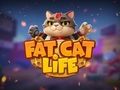 Spel Vet Kat Lewe  aanlyn