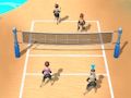 Spel Strandvlugbal 3D  aanlyn