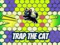 Spel Vang die kat 2D  aanlyn