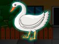 Spel Red The Swan Bird  aanlyn