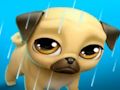 Spel My virtuele troeteldier Louie the Pug  aanlyn