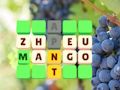 Spel Woordskyfie  aanlyn
