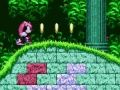 Spel Mighty en Ray in Sonic 2 aanlyn