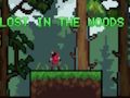 Spel Verlore in die bos  aanlyn