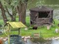 Spel Mystery Lake Escape aanlyn