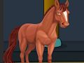Spel Red Die Perd Uit Fort aanlyn Spel Red Die Perd Uit Fort aanlyn