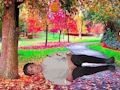 Spel Red 'n Gewonde Ou  aanlyn