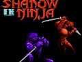 Spel Skaduwee van die Ninja  aanlyn