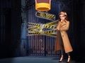 Spel Pin Speurder  aanlyn