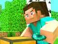 Spel Meester Craft  aanlyn