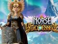 Spel Noorse godinne  aanlyn