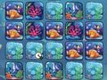 Spel Reef Kleur Uitdaging  aanlyn
