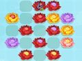 Spel Blomwedstryd-3 aanlyn