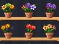 Spel Goeie Blommemeester  aanlyn