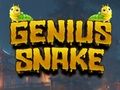 Spel Geniale slang  aanlyn