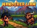 Spel Swerwer Liam  aanlyn