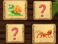 Spel Geheue raaisel  aanlyn