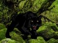 Spel Ontsnap uit Black Panther Forest  aanlyn