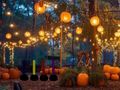 Spel Halloween lieflike tuin ontsnapping aanlyn