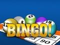 Spel Bingooo 2024 aanlyn