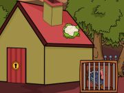 Spel Red die Brons Turkye  aanlyn