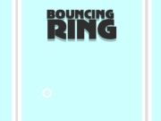 Spel Springring  aanlyn