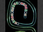 Spel TD Neon Shoot aanlyn