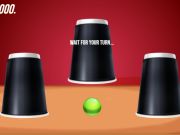 Spel Vind die bal  aanlyn