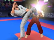 Spel Karate vegter  aanlyn