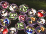 Spel Voeg sampioene saam!  aanlyn
