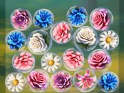 Spel Voeg blomme saam!  aanlyn