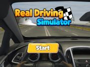 Spel Regte bestuursimulator  aanlyn