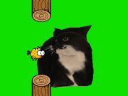 Spel Flappy Bird Spining Oia Oia Cat  aanlyn