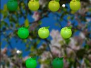 Spel Sappige appel  aanlyn